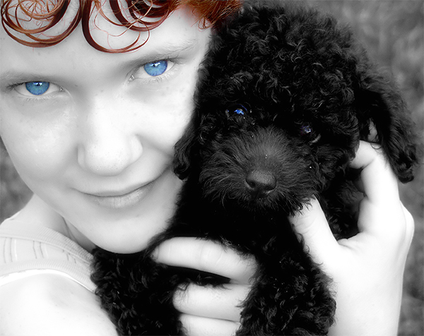 Photographie par lmiley1986 pour DesignCrowd (Community Contests) | Design #8973004