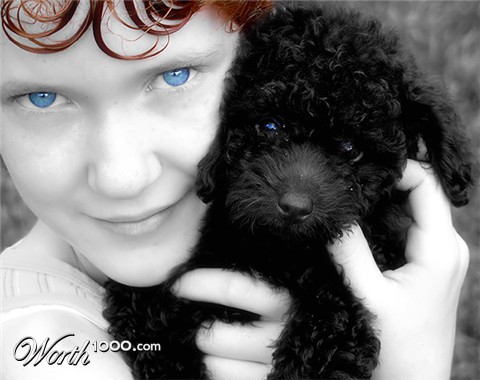 Photography by lmiley1986