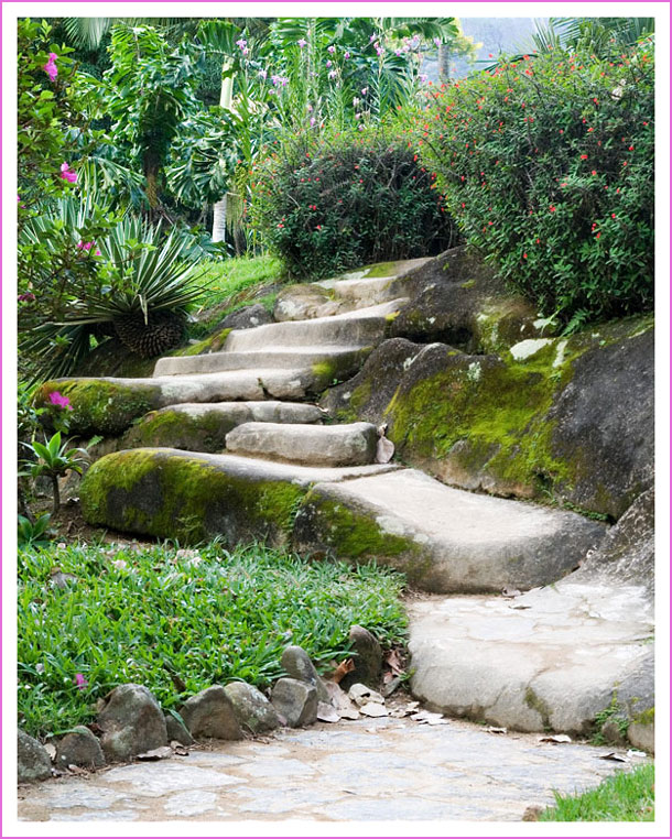 Photography by Pr4ktic for DesignCrowd (Community Contests) | Design #8975021