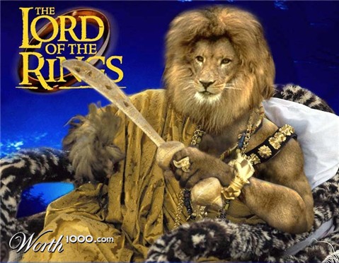 Photoshop Design by raginiroshni