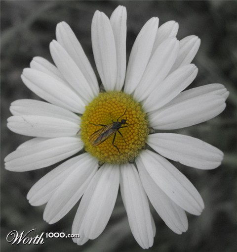 Photography by Chimmi