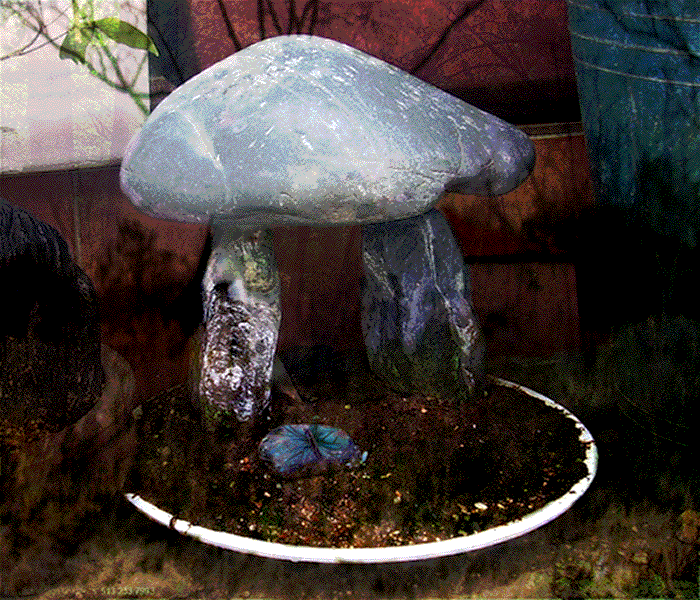 Photoshop Design by Safekeeper for DesignCrowd (Community Contests) | Design #8977476