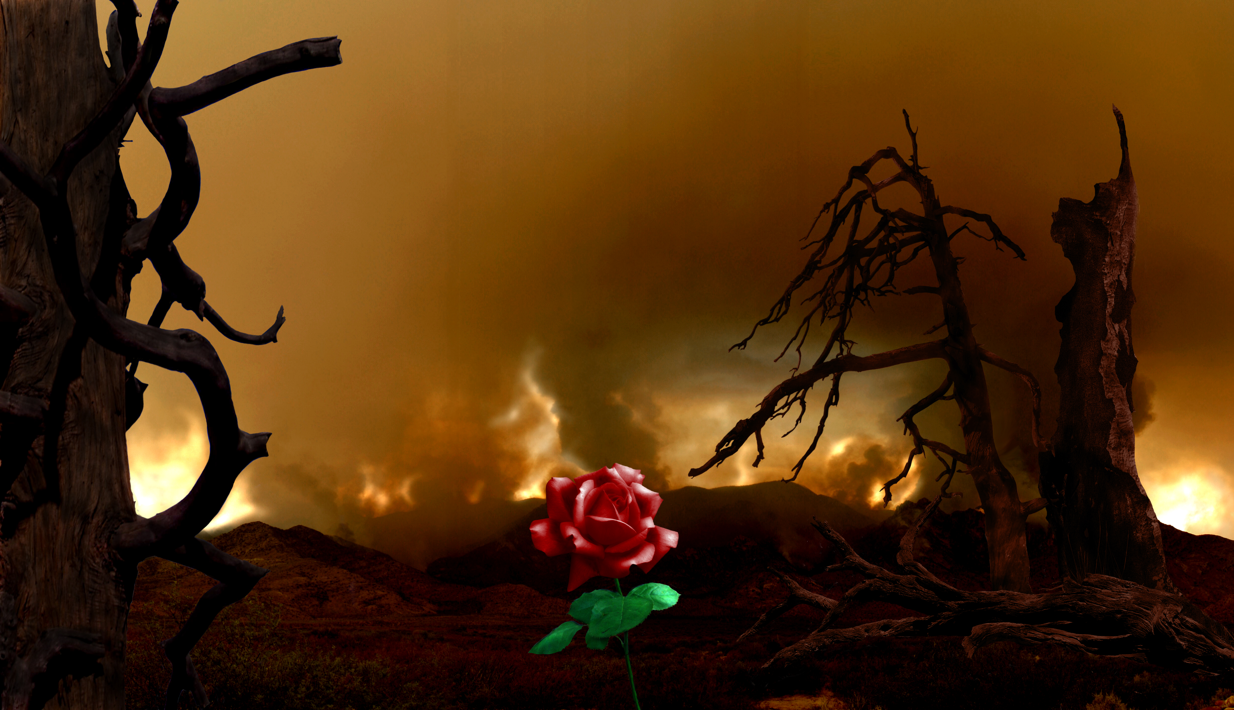 Photoshop Design by easytoplease for DesignCrowd (Community Contests) | Design #8973489