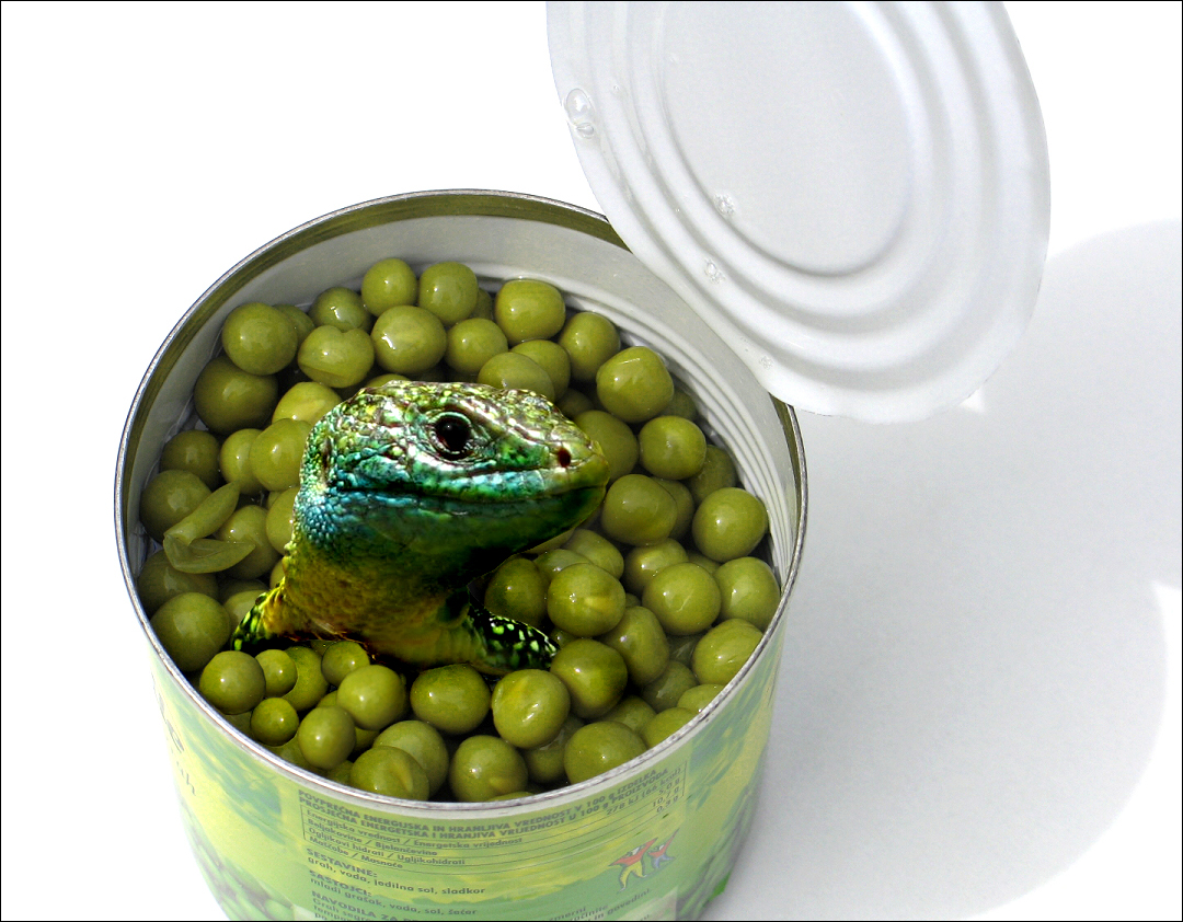 Photoshop Design by CovertPea for DesignCrowd (Community Contests) | Design #8971053