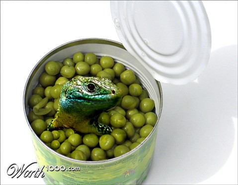 Photoshop Design by CovertPea