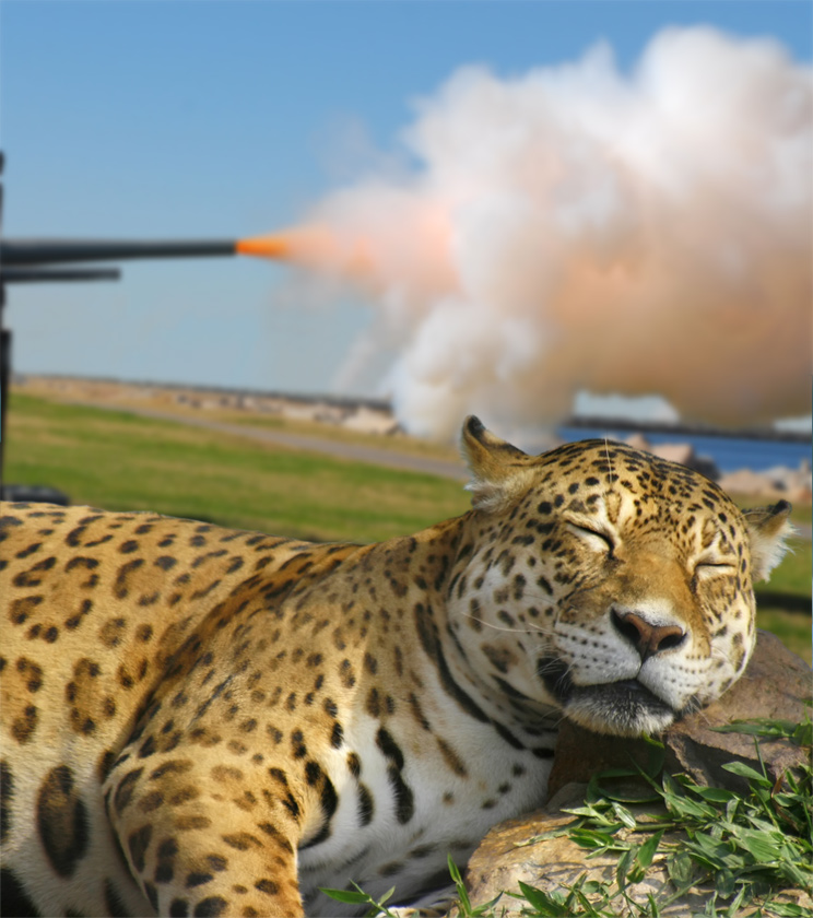 Design Photoshop par lucimine pour DesignCrowd (Community Contests) | Design #8973559