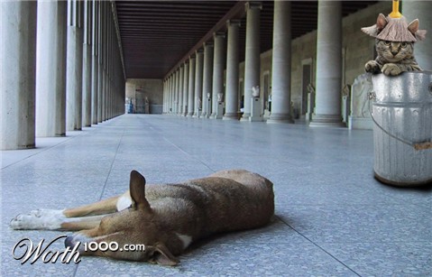 Photoshop Design by lucimine