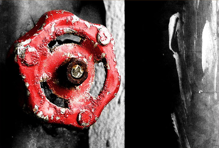 Fotografía por seethingsclear para DesignCrowd (Community Contests) | Diseño #8972979