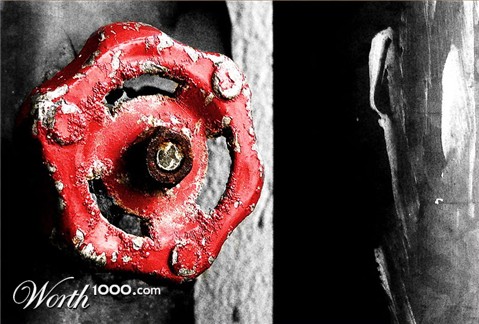 Photography by seethingsclear