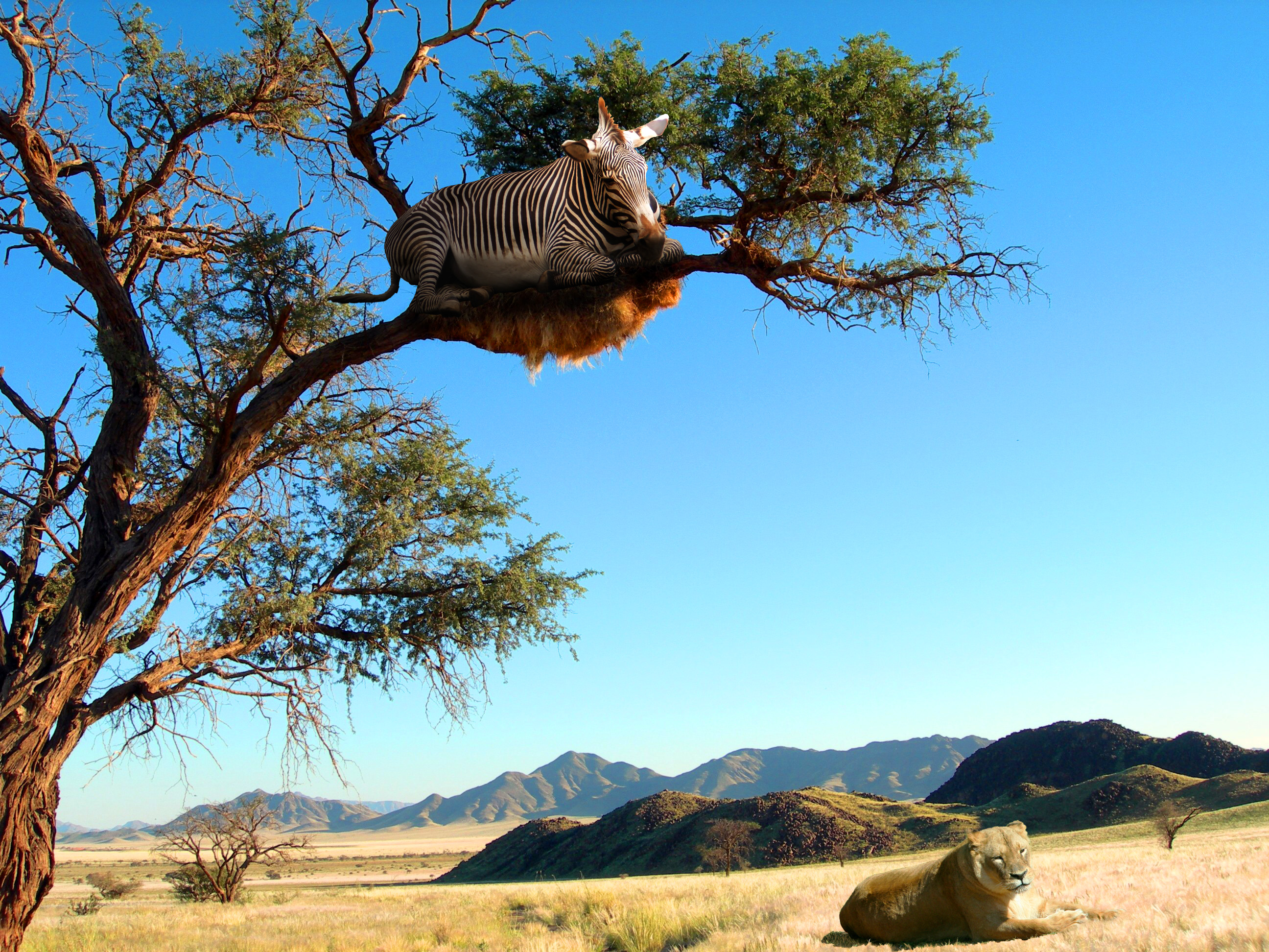 Photoshop Design by katieanne for DesignCrowd (Community Contests) | Design #8971115