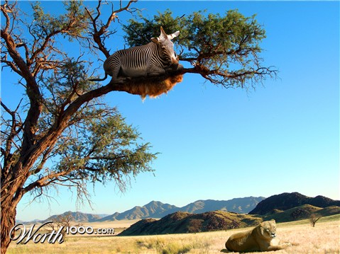 Photoshop Design by katieanne