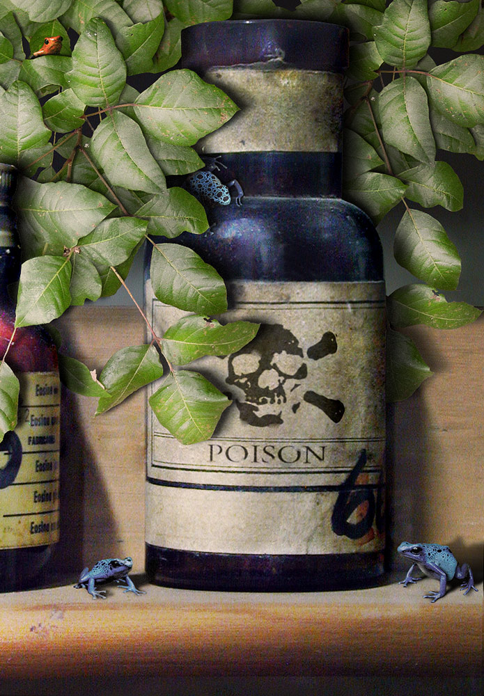 Photoshop Design by Supagray for DesignCrowd (Community Contests) | Design #8973521