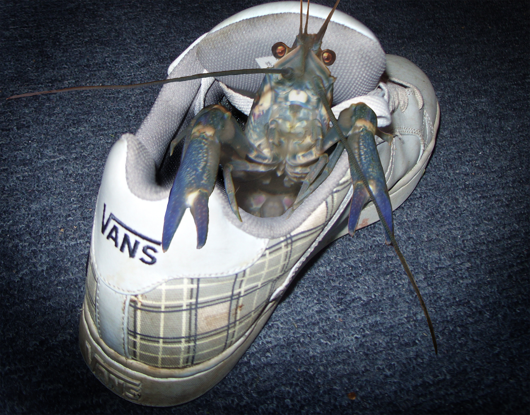 Diseño de Photoshop por jamie1314 para DesignCrowd (Community Contests) | Diseño #8971111