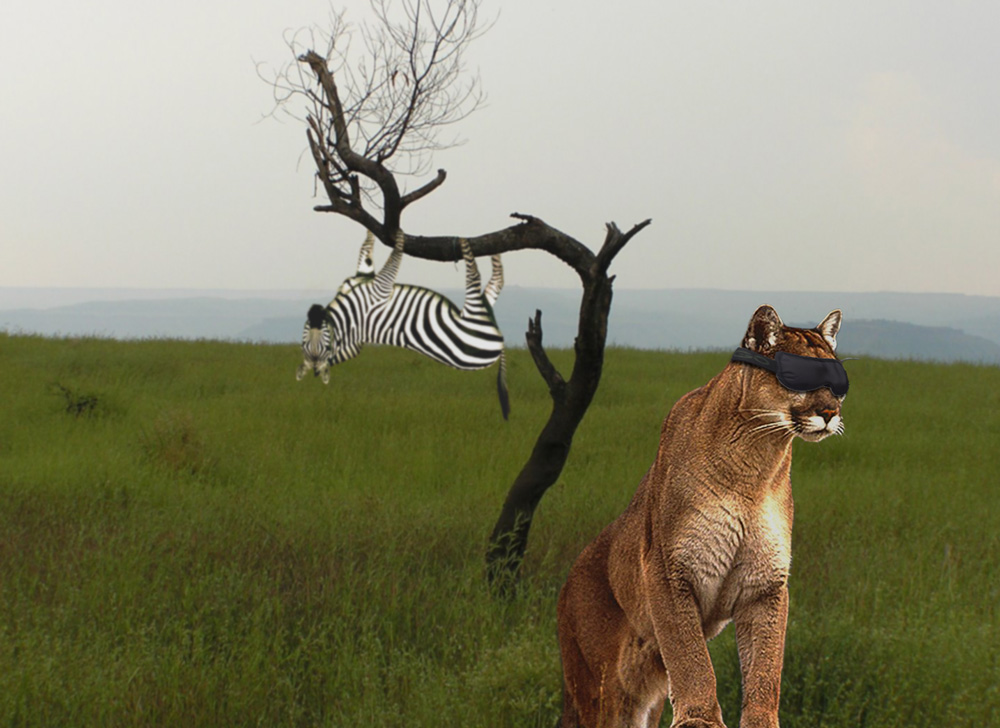 Diseño de Photoshop por sheriad para DesignCrowd (Community Contests) | Diseño #8971152