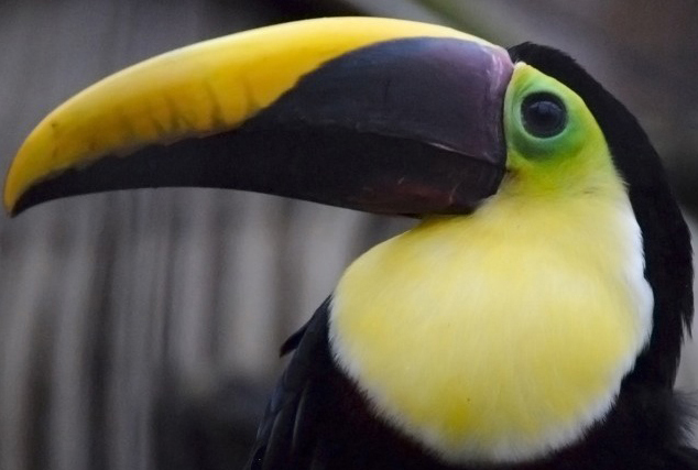 Photography by chrisulloa for DesignCrowd (Community Contests) | Design #8974766