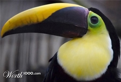 Photography by chrisulloa