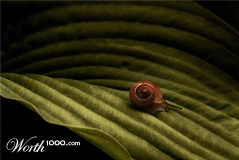 Photography by silversprej