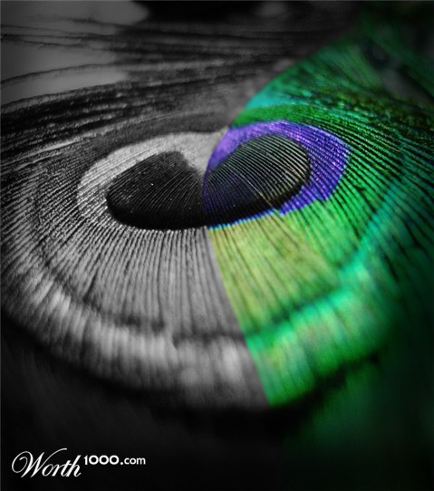 Photography by idigbd