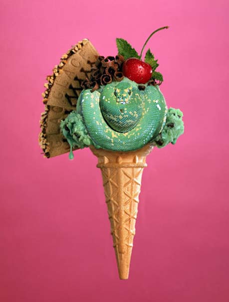 Photoshop Design by Bmanic for DesignCrowd (Community Contests) | Design #8971160