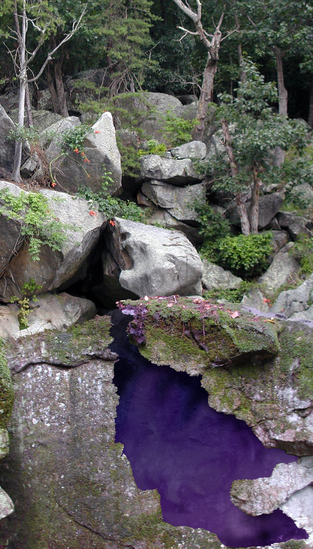 Design Photoshop par willibarb pour DesignCrowd (Community Contests) | Design #8973701