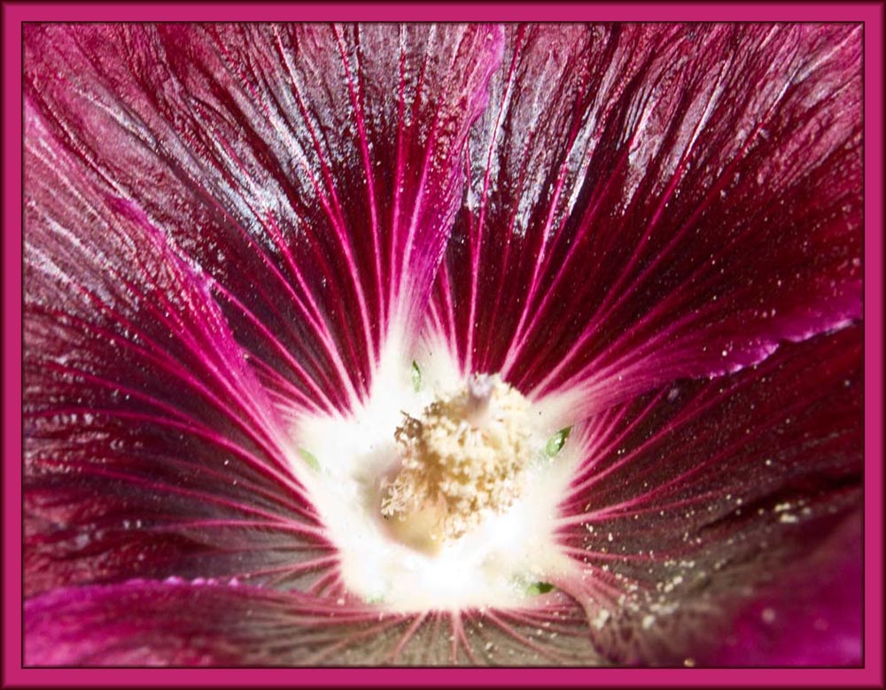 Photography by ClickChick for DesignCrowd (Community Contests) | Design #8974771