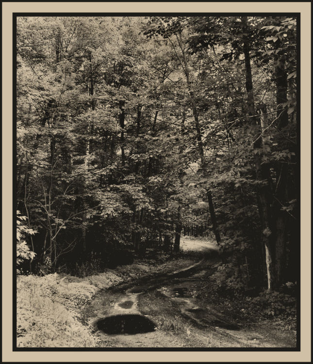 Photography by Marlii for DesignCrowd (Community Contests) | Design #8975040