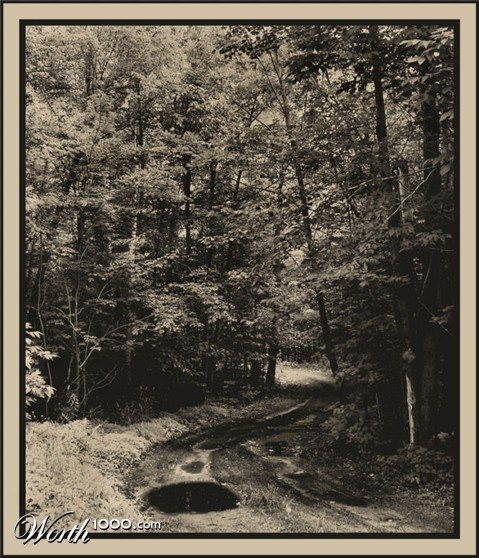 Photography by Marlii