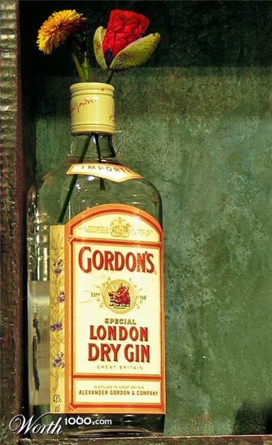 Photoshop Design by anicole27