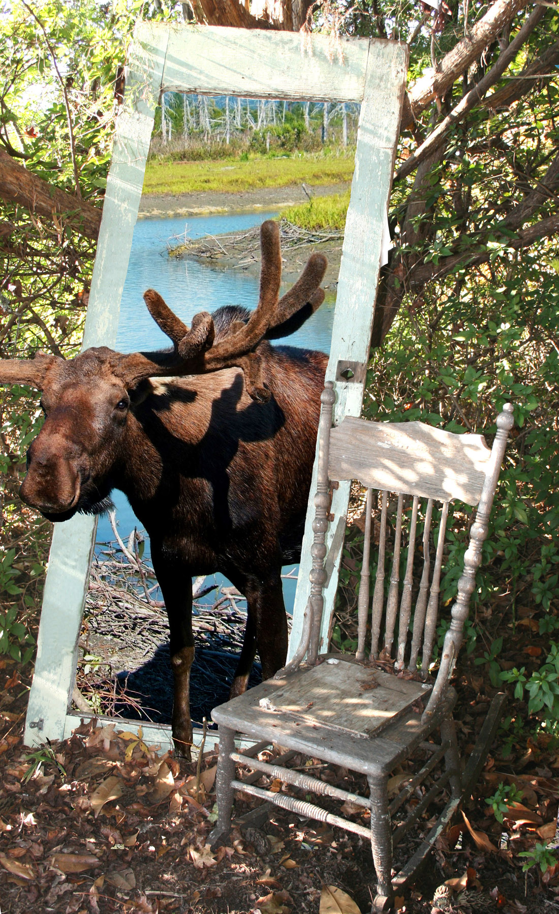 Photoshop Design by Alan2640 for DesignCrowd (Community Contests) | Design #8972148