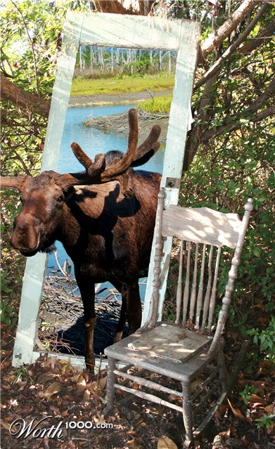 Photoshop Design by Alan2640