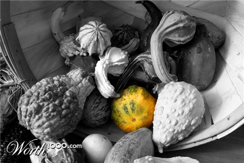 Photography by heidiinc