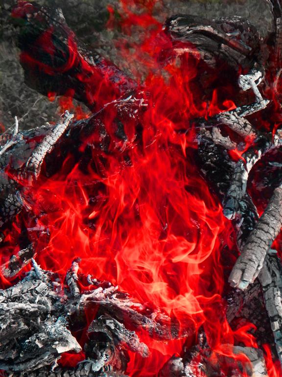 Photography by angel2bheard for DesignCrowd (Community Contests) | Design #8972912