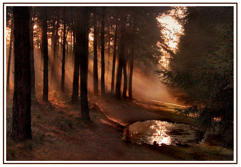 Fotografie von Marian für DesignCrowd (Community Contests) | Design #8974996