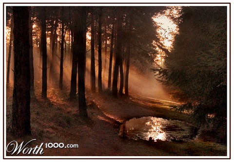 Photography by Marian