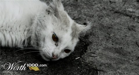 Photography by Serbrider