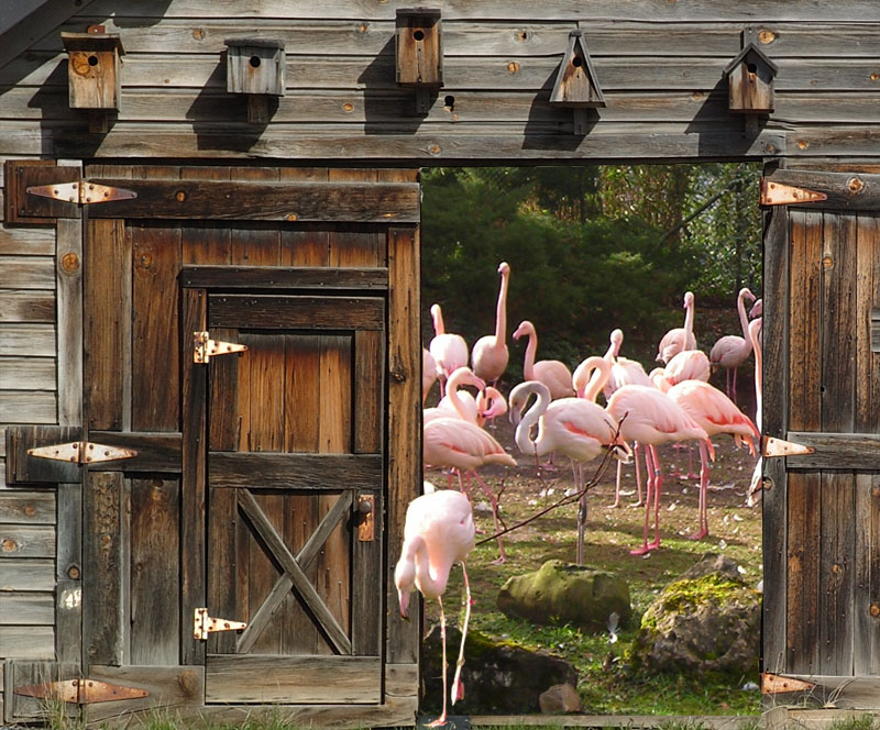 Photoshop Design by gloobella for DesignCrowd (Community Contests) | Design #8972215