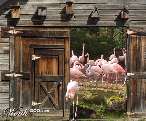 Photoshop Design by gloobella