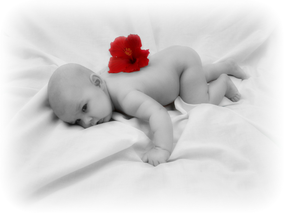 Fotografía por Kimberly22 para DesignCrowd (Community Contests) | Diseño #8973026
