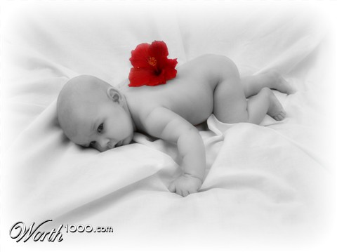 Photography by Kimberly22