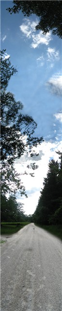 Photography by Chimmi