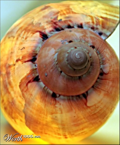 Photography by Isabella2006