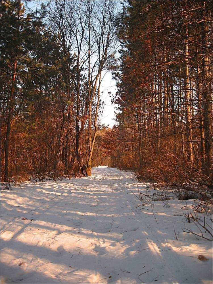 Fotografie von spincast1123 für DesignCrowd (Community Contests) | Design #8975006