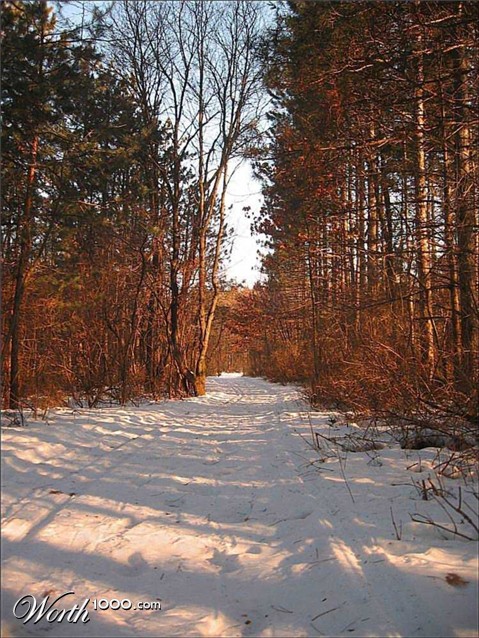 Photography by spincast1123