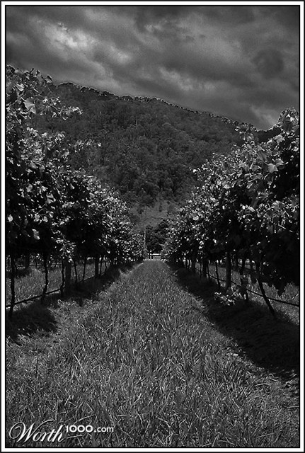 Photography by mated1976