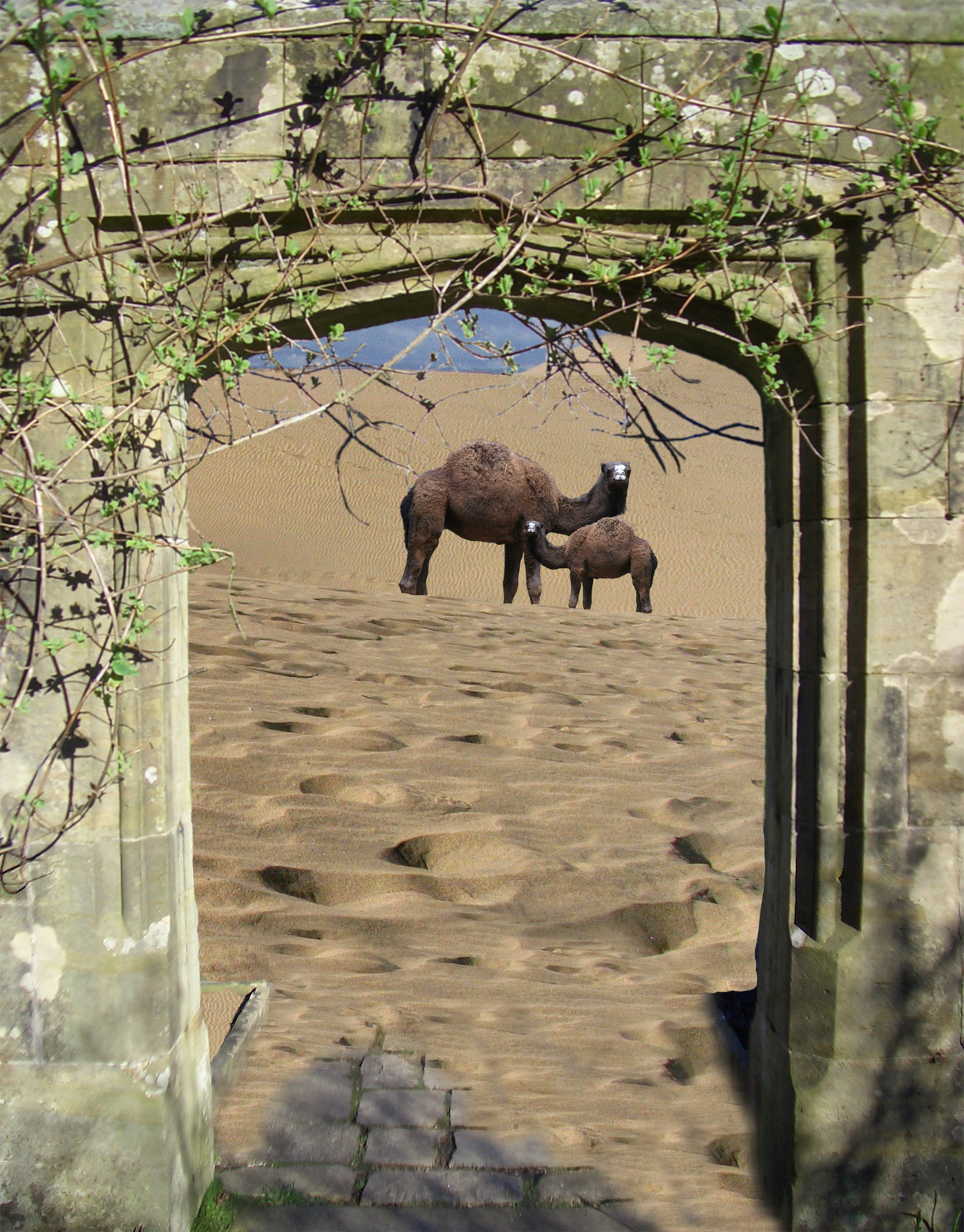 Diseño de Photoshop por jamie1314 para DesignCrowd (Community Contests) | Diseño #8972241