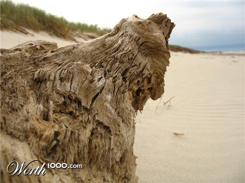 Photography by Kristute