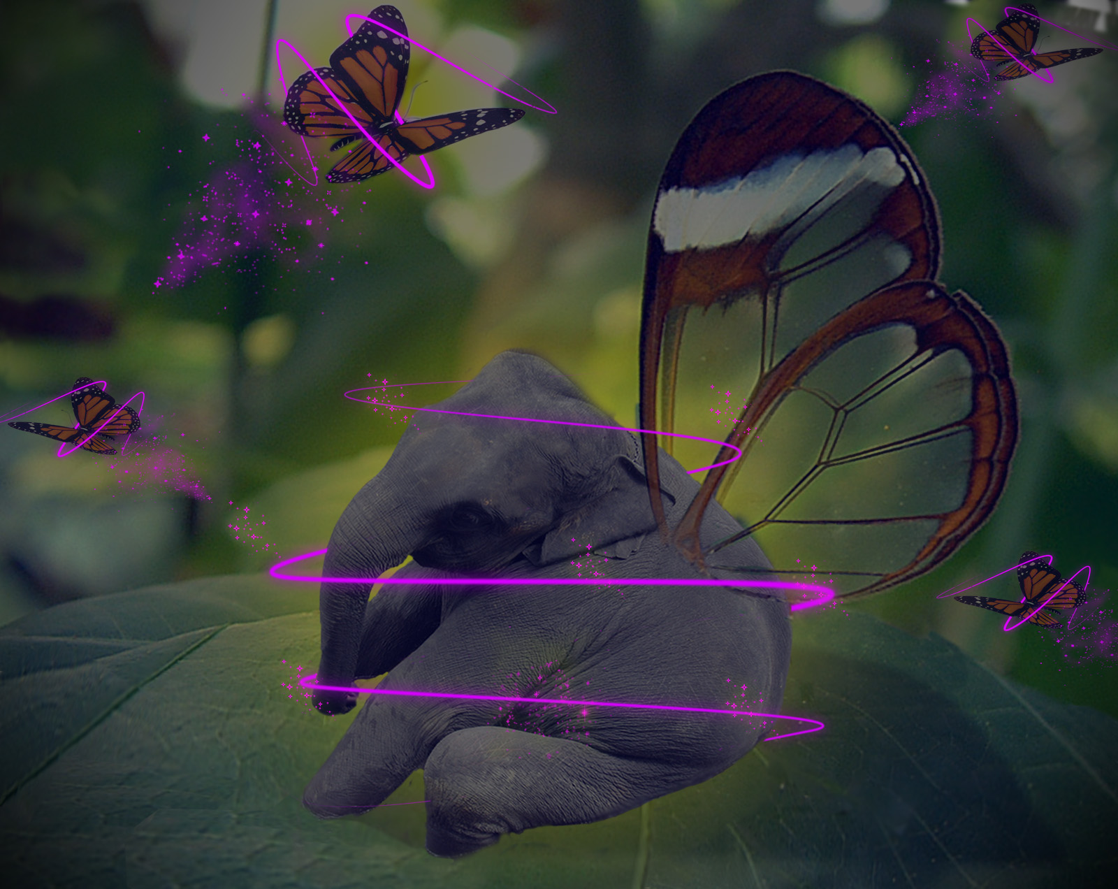 Photoshop Design by viniod for DesignCrowd (Community Contests) | Design #8979558