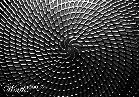 Photography by mrbeaver