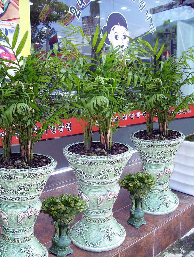 Diseño de Photoshop por Roymeddy para DesignCrowd (Community Contests) | Diseño #8974425