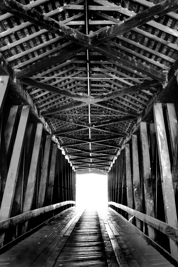 Photography by Viciousvixievenus for DesignCrowd (Community Contests) | Design #8972655